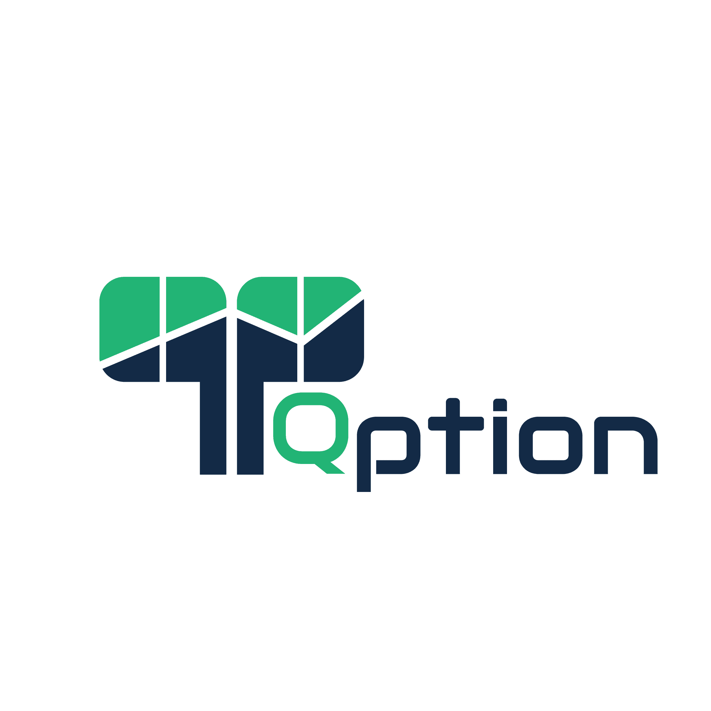 Qption logo